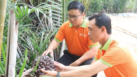 Khởi nghiệp dựng cơ đồ xanh - Ảnh 5. Khởi nghiệp dựng cơ đồ xanh - Ảnh 5.
