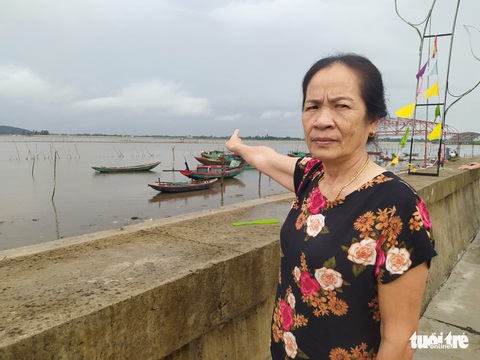 Hàng trăm tấn ngao chết chưa rõ nguyên nhân - Ảnh 3. Hàng trăm tấn ngao chết chưa rõ nguyên nhân - Ảnh 3.
