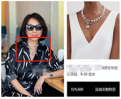 Lưu Gia Linh đeo trang sức cả tỉ đi... ăn gà quay! - Ảnh 2. Lưu Gia Linh đeo trang sức cả tỉ đi... ăn gà quay! - Ảnh 2.