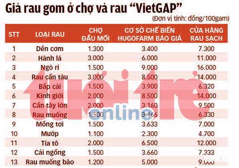 Phanh phui rau sạch dỏm: Hô biến rau chợ thành rau 3 sạch! - Ảnh 8. Phanh phui rau sạch dỏm: Hô biến rau chợ thành rau 3 sạch! - Ảnh 8.