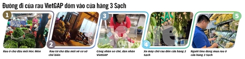 Phanh phui rau sạch dỏm: Hô biến rau chợ thành rau 3 sạch! - Ảnh 3. Phanh phui rau sạch dỏm: Hô biến rau chợ thành rau 3 sạch! - Ảnh 3.