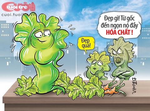 Người đẹp hóa chất - Ảnh 1. Người đẹp hóa chất - Ảnh 1.