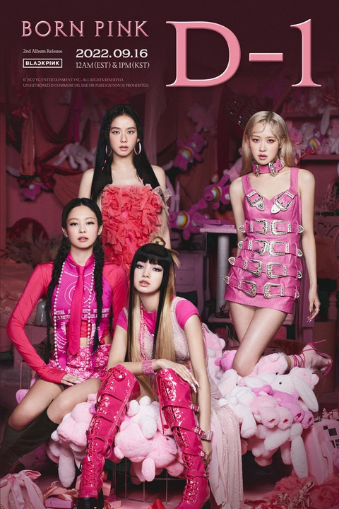 Born Pink của Blackpink lập thành tích không thể tin được trên Spotify - Ảnh 1. Born Pink của Blackpink lập thành tích không thể tin được trên Spotify - Ảnh 1.