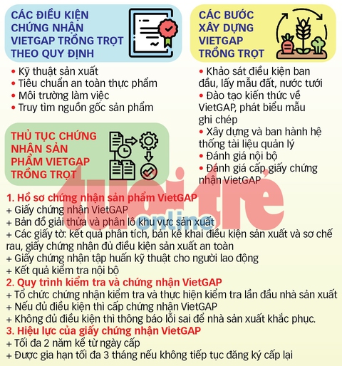 Phanh phui rau VietGAP dỏm: Mua chứng nhận VietGAP dễ như mua rau? - Ảnh 2. Phanh phui rau VietGAP dỏm: Mua chứng nhận VietGAP dễ như mua rau? - Ảnh 2.