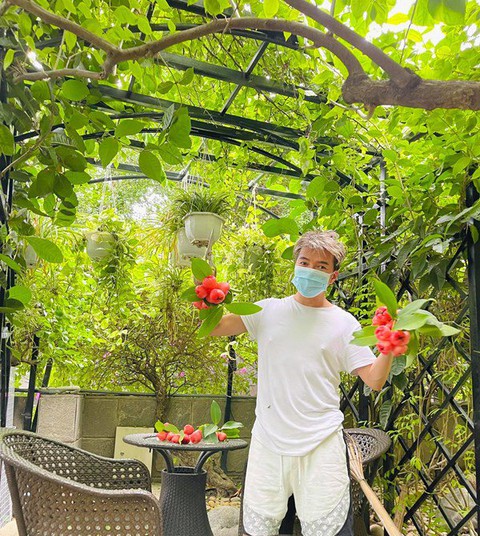 Đàm Vĩnh Hưng khoái chí khi được fan ghép ảnh ‘tình bể bình’ với Mỹ Tâm - Ảnh 2. Đàm Vĩnh Hưng khoái chí khi được fan ghép ảnh ‘tình bể bình’ với Mỹ Tâm - Ảnh 2.