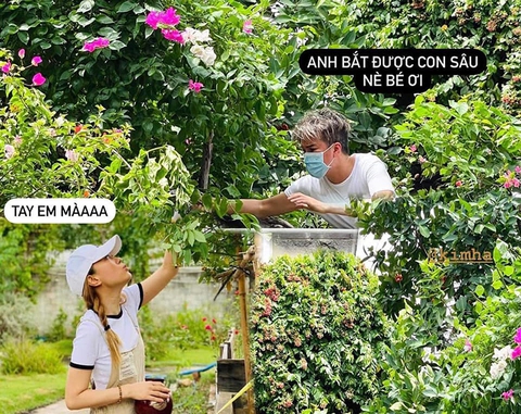 Đàm Vĩnh Hưng khoái chí khi được fan ghép ảnh ‘tình bể bình’ với Mỹ Tâm - Ảnh 5. Đàm Vĩnh Hưng khoái chí khi được fan ghép ảnh ‘tình bể bình’ với Mỹ Tâm - Ảnh 5.