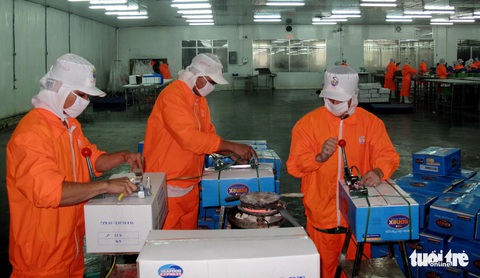 Đơn hàng gạo, cá Việt đi châu Âu tăng bất ngờ - Ảnh 3. Đơn hàng gạo, cá Việt đi châu Âu tăng bất ngờ - Ảnh 3.
