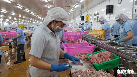 Đơn hàng gạo, cá Việt đi châu Âu tăng bất ngờ - Ảnh 1. Đơn hàng gạo, cá Việt đi châu Âu tăng bất ngờ - Ảnh 1.