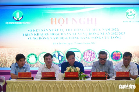 Gạo thơm, gạo chất lượng cao Việt Nam đang chiếm ưu thế xuất khẩu - Ảnh 2. Gạo thơm, gạo chất lượng cao Việt Nam đang chiếm ưu thế xuất khẩu - Ảnh 2.