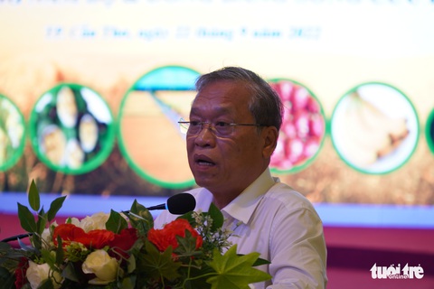 Gạo thơm, gạo chất lượng cao Việt Nam đang chiếm ưu thế xuất khẩu - Ảnh 1. Gạo thơm, gạo chất lượng cao Việt Nam đang chiếm ưu thế xuất khẩu - Ảnh 1.