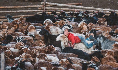 Thợ săn đại bàng - trái tim hoang dã trên thảo nguyên - Ảnh 17. Thợ săn đại bàng - trái tim hoang dã trên thảo nguyên - Ảnh 17.
