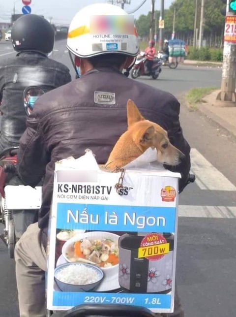 Ảnh vui 23-9: Vợ nói suốt 4 tiếng khi chồng hỏi anh sai ở đâu - Ảnh 6. Ảnh vui 23-9: Vợ nói suốt 4 tiếng khi chồng hỏi anh sai ở đâu - Ảnh 6.