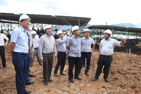 Dự án giải tỏa công suất BOT Vân Phong, nhanh nhưng chắc - Ảnh 2. Dự án giải tỏa công suất BOT Vân Phong, nhanh nhưng chắc - Ảnh 2.