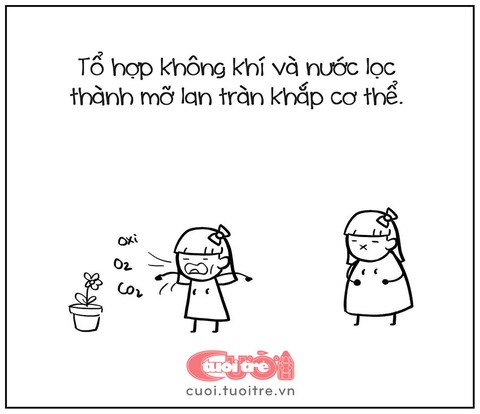 Chuyện giảm cân: Nặng người, nhẹ dạ - Ảnh 3. Chuyện giảm cân: Nặng người, nhẹ dạ - Ảnh 3.