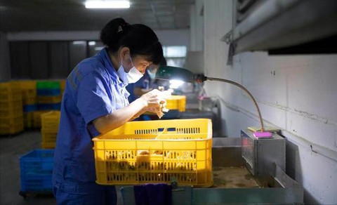 5 công việc trong mơ lạ lùng khiến giới trẻ phát thèm - Ảnh 3. 5 công việc trong mơ lạ lùng khiến giới trẻ phát thèm - Ảnh 3.