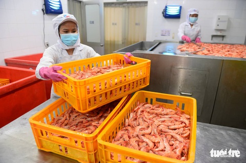 Tin sáng 24-9: Khởi công cầu Nhơn Trạch TP.HCM; Tôm xuất khẩu của Việt Nam tăng tốt - Ảnh 2. Tin sáng 24-9: Khởi công cầu Nhơn Trạch TP.HCM; Tôm xuất khẩu của Việt Nam tăng tốt - Ảnh 2.