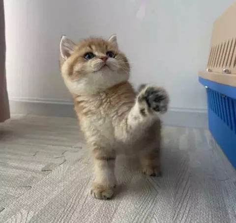 5 công việc trong mơ lạ lùng khiến giới trẻ phát thèm - Ảnh 1. 5 công việc trong mơ lạ lùng khiến giới trẻ phát thèm - Ảnh 1.