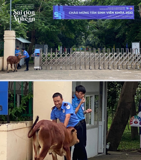 Ảnh vui 26-9: Chào mừng tân sinh viên khóa 2022! - Ảnh 1. Ảnh vui 26-9: Chào mừng tân sinh viên khóa 2022! - Ảnh 1.