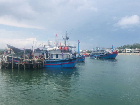 Biên phòng Quảng Ngãi kêu gọi hơn 6.200 lao động trên biển vào bờ - Ảnh 3. Biên phòng Quảng Ngãi kêu gọi hơn 6.200 lao động trên biển vào bờ - Ảnh 3.