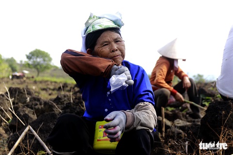 Phá đá núi lửa gieo hạt mầm - Ảnh 4. Phá đá núi lửa gieo hạt mầm - Ảnh 4.