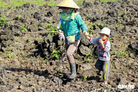Phá đá núi lửa gieo hạt mầm - Ảnh 8. Phá đá núi lửa gieo hạt mầm - Ảnh 8.