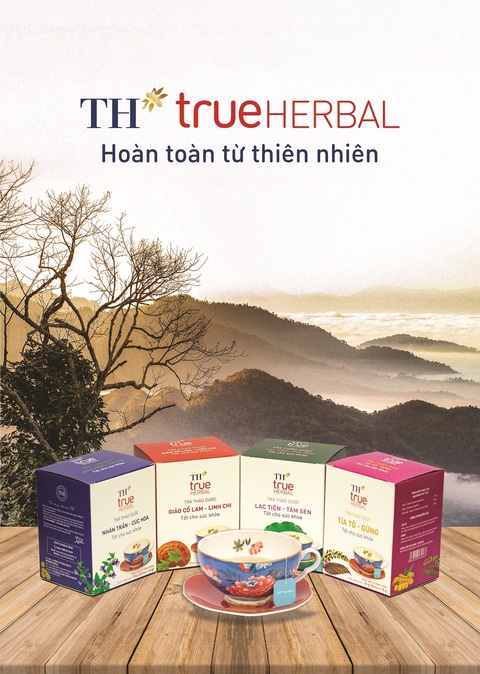 KV TH true Herbal_dang bao KV TH true Herbal_dang bao