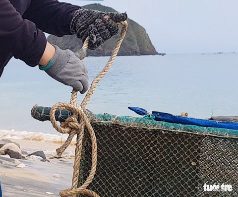 Dân Phú Yên hối hả vớt cả triệu con tôm hùm giống chạy bão số 4 - Ảnh 8. Dân Phú Yên hối hả vớt cả triệu con tôm hùm giống chạy bão số 4 - Ảnh 8.