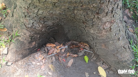 Phóng sự: Bãi chích ma túy thoải mái ở công viên 23-9 giữa trung tâm thành phố - Ảnh 14. Phóng sự: Bãi chích ma túy thoải mái ở công viên 23-9 giữa trung tâm thành phố - Ảnh 14.