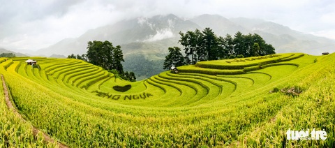 Từng đoàn xe nối nhau đi ngắm mùa vàng ở Mù Cang Chải - Ảnh 4. Từng đoàn xe nối nhau đi ngắm mùa vàng ở Mù Cang Chải - Ảnh 4.