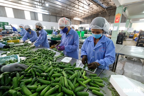 Thúc đẩy nền nông nghiệp minh bạch, trách nhiệm - Ảnh 1. Thúc đẩy nền nông nghiệp minh bạch, trách nhiệm - Ảnh 1.
