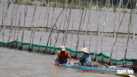 ‘Trữ lũ’ trên 88.000ha để cải tạo đất và tăng thu nhập cho nông dân - Ảnh 1. ‘Trữ lũ’ trên 88.000ha để cải tạo đất và tăng thu nhập cho nông dân - Ảnh 1.