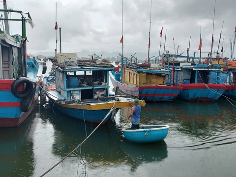 Quảng Nam còn 18 tàu cá hoạt động ở Hoàng Sa thuộc vùng nguy hiểm - Ảnh 1. Quảng Nam còn 18 tàu cá hoạt động ở Hoàng Sa thuộc vùng nguy hiểm - Ảnh 1.