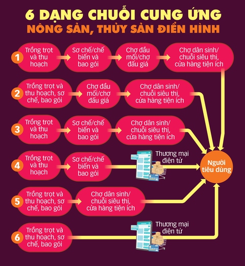 Thúc đẩy nền nông nghiệp minh bạch, trách nhiệm - Ảnh 5. Thúc đẩy nền nông nghiệp minh bạch, trách nhiệm - Ảnh 5.