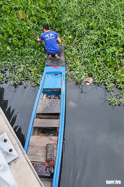 Xuyệt điện lại tung hoành, ‘càn quét’ cá trên kênh Nhiêu Lộc - Thị Nghè - Ảnh 4. Xuyệt điện lại tung hoành, ‘càn quét’ cá trên kênh Nhiêu Lộc - Thị Nghè - Ảnh 4.