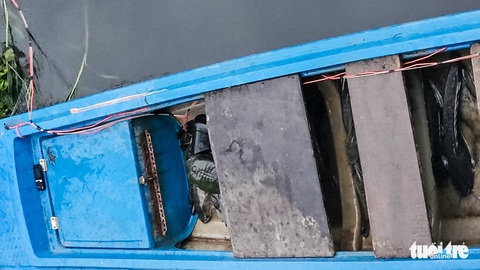 Xuyệt điện lại tung hoành, ‘càn quét’ cá trên kênh Nhiêu Lộc - Thị Nghè - Ảnh 5. Xuyệt điện lại tung hoành, ‘càn quét’ cá trên kênh Nhiêu Lộc - Thị Nghè - Ảnh 5.
