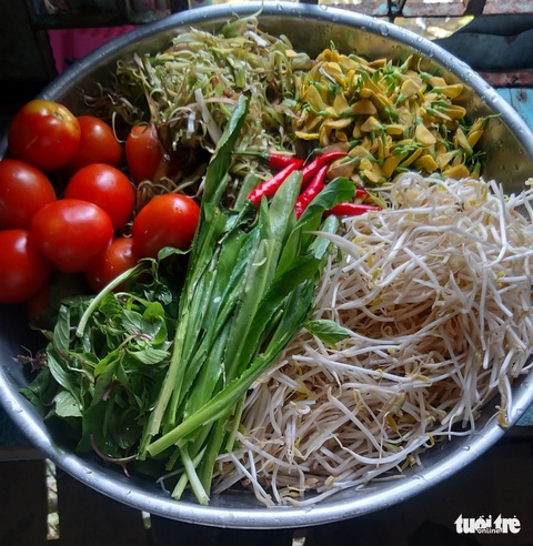Về miền Tây ‘say ngất ngây’ với cua đồng - Ảnh 4. Về miền Tây ‘say ngất ngây’ với cua đồng - Ảnh 4.