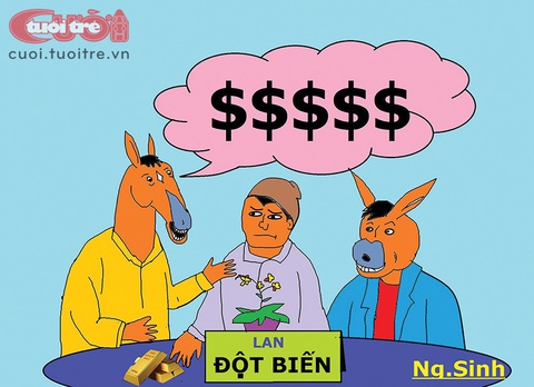 Lan đột biến giảm giá 1 triệu lần vẫn ế! - Ảnh 2. Lan đột biến giảm giá 1 triệu lần vẫn ế! - Ảnh 2.