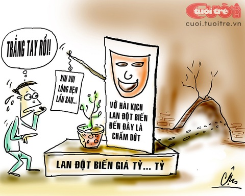 Lan đột biến giảm giá 1 triệu lần vẫn ế! - Ảnh 1. Lan đột biến giảm giá 1 triệu lần vẫn ế! - Ảnh 1.