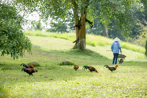 Nơi con người được thiên nhiên ‘yêu thương’ - Ảnh 5. Nơi con người được thiên nhiên ‘yêu thương’ - Ảnh 5.