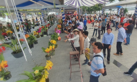 Lễ 2-9, nghệ nhân cả nước tề tựu về Cần Thơ dự hội thi lan - Ảnh 3. Lễ 2-9, nghệ nhân cả nước tề tựu về Cần Thơ dự hội thi lan - Ảnh 3.