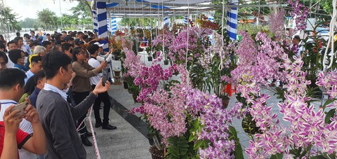 Lễ 2-9, nghệ nhân cả nước tề tựu về Cần Thơ dự hội thi lan - Ảnh 1. Lễ 2-9, nghệ nhân cả nước tề tựu về Cần Thơ dự hội thi lan - Ảnh 1.