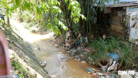 Đà Lạt bất ngờ ngập vì rác, nhà kính, bê tông - Ảnh 7. Đà Lạt bất ngờ ngập vì rác, nhà kính, bê tông - Ảnh 7.