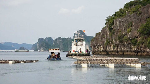 Khai trừ Đảng 4 cán bộ trật tự đô thị và môi trường vì nhận hối lộ - Ảnh 1. Khai trừ Đảng 4 cán bộ trật tự đô thị và môi trường vì nhận hối lộ - Ảnh 1.