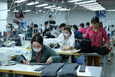 Nhà máy FDI đầu tiên của Đan Mạch tại An Giang đi vào hoạt động - Ảnh 1. Nhà máy FDI đầu tiên của Đan Mạch tại An Giang đi vào hoạt động - Ảnh 1.