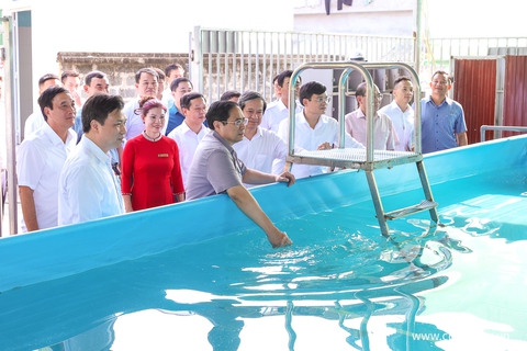 Thư cô giáo gửi Thủ tướng trước thềm năm học mới - Ảnh 3. Thư cô giáo gửi Thủ tướng trước thềm năm học mới - Ảnh 3.
