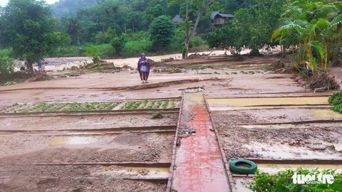 Nhiều trường ở huyện biên giới Nghệ An khai giảng muộn do mưa lũ - Ảnh 3. Nhiều trường ở huyện biên giới Nghệ An khai giảng muộn do mưa lũ - Ảnh 3.