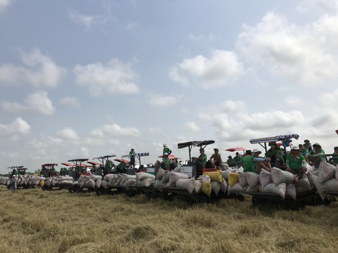 Ủng hộ hợp tác với Thái Lan nâng giá gạo - Ảnh 1. Ủng hộ hợp tác với Thái Lan nâng giá gạo - Ảnh 1.