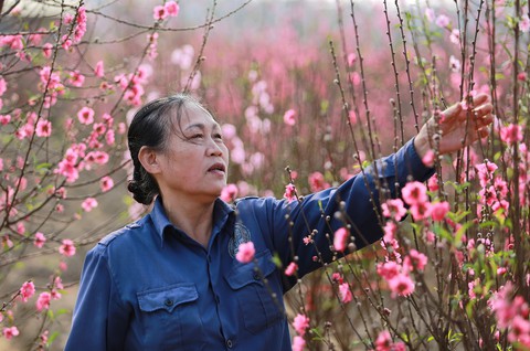Bộ Nội vụ đồng tình với đề xuất nghỉ Tết Nguyên đán 7 ngày - Ảnh 1.