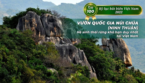 Thảo cầm viên Sài Gòn, cầu Sông Hàn, làng lụa Vạn Phúc… xác lập kỷ lục bất biến - Ảnh 13. Thảo cầm viên Sài Gòn, cầu Sông Hàn, làng lụa Vạn Phúc… xác lập kỷ lục bất biến - Ảnh 13.