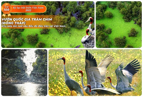 Thảo cầm viên Sài Gòn, cầu Sông Hàn, làng lụa Vạn Phúc… xác lập kỷ lục bất biến - Ảnh 18. Thảo cầm viên Sài Gòn, cầu Sông Hàn, làng lụa Vạn Phúc… xác lập kỷ lục bất biến - Ảnh 18.